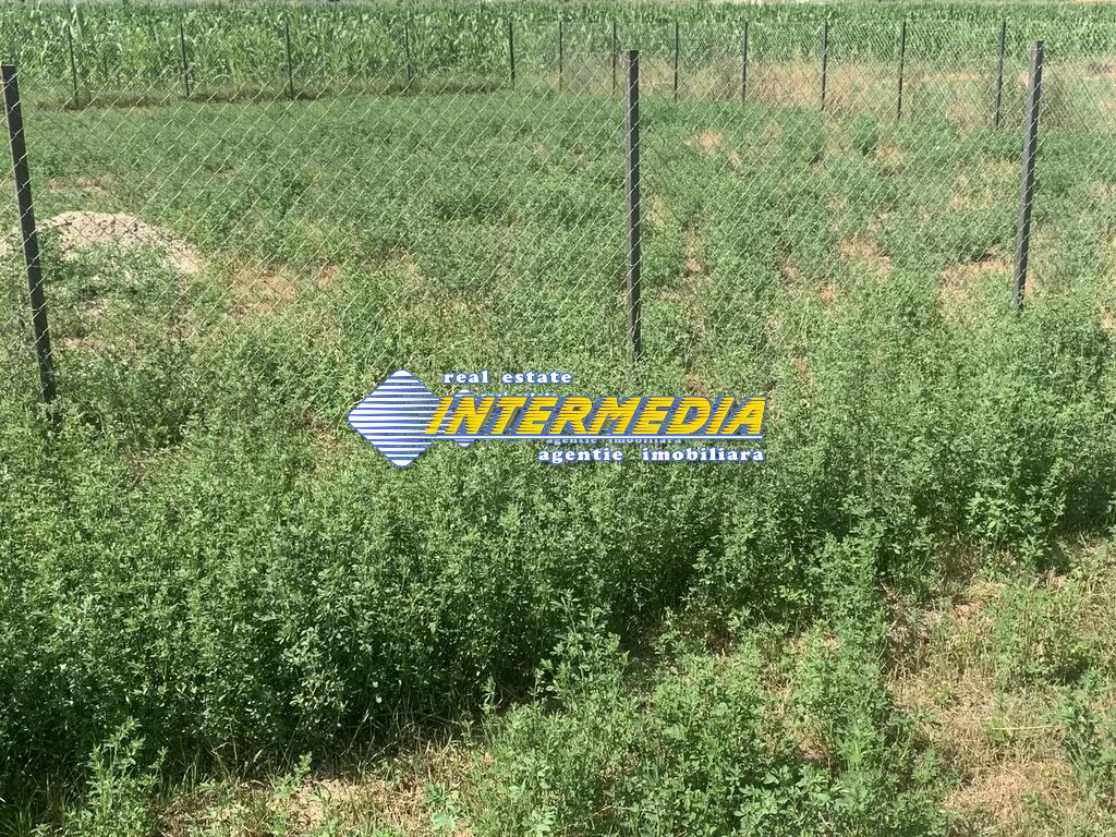 Land for sale 500 sqm Alba Micesti ideal building houses with water and electricity